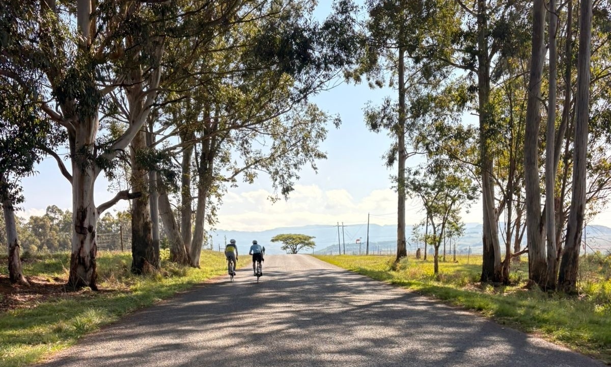 C9d55103-0960-4568-a630-b97308a63e26