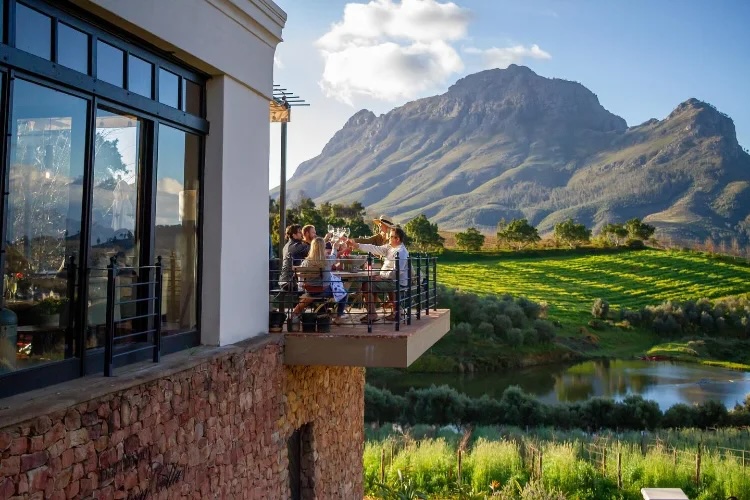 Stellenbosch wine tasting