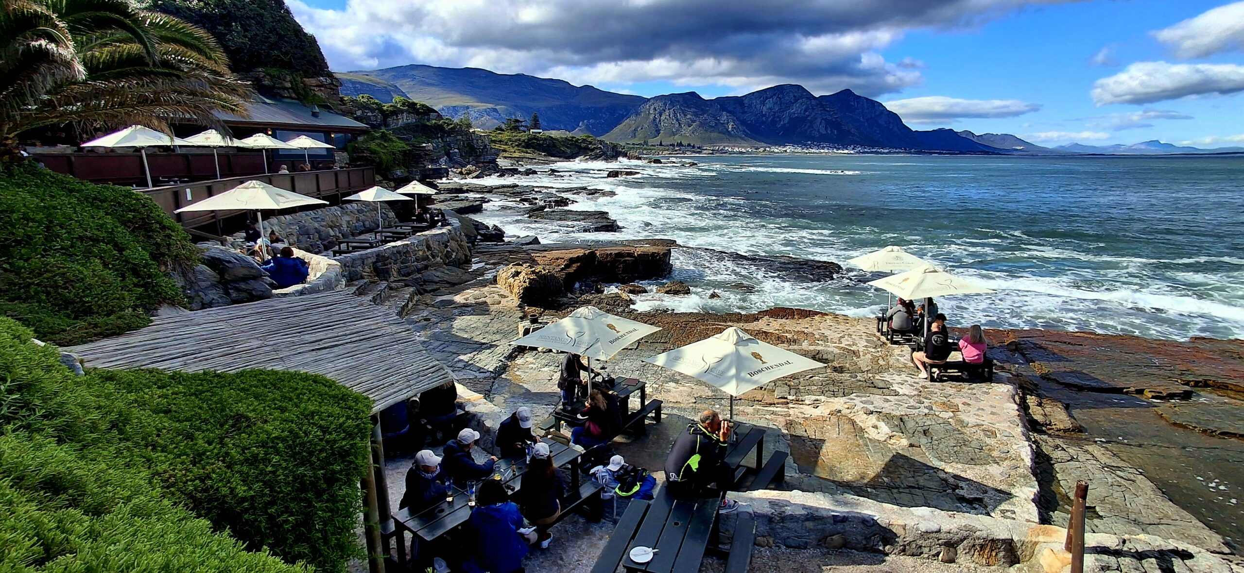 dinner in Hermanus