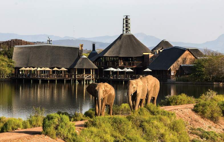 Buffelsdrift game lodge lunch