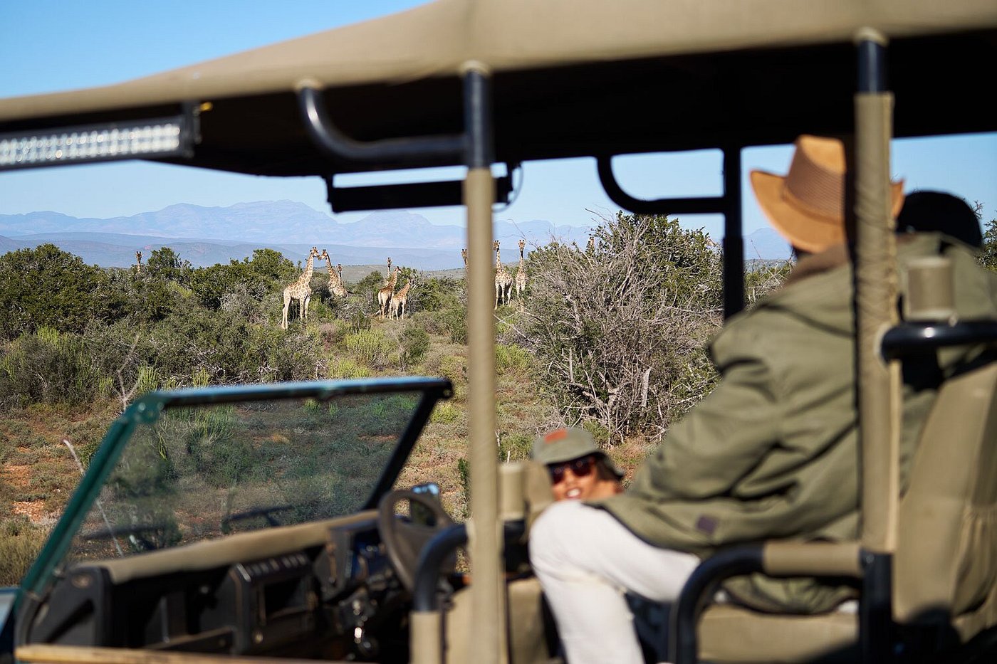 game drive