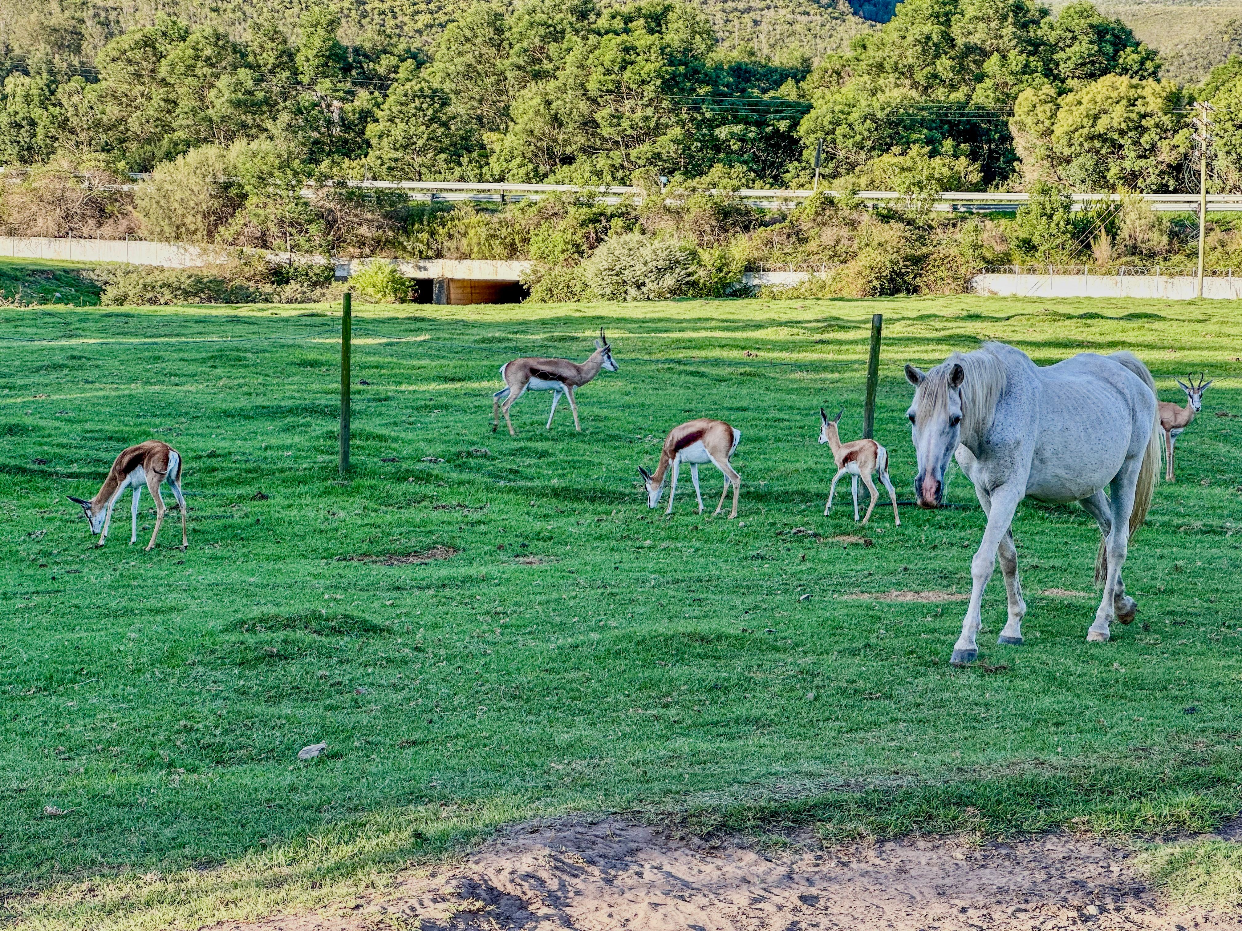 wildlife on cycle tour