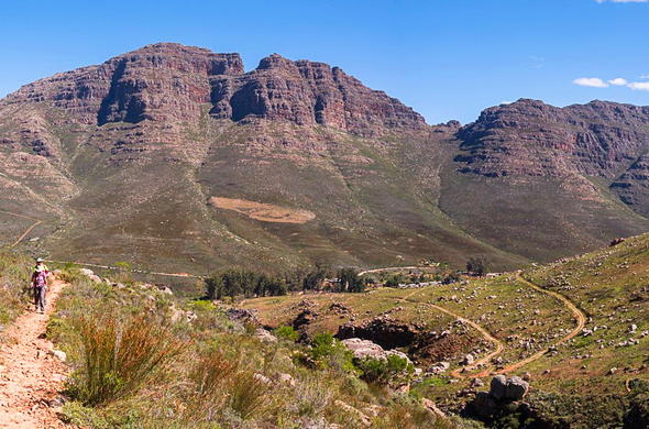 Cederberg 