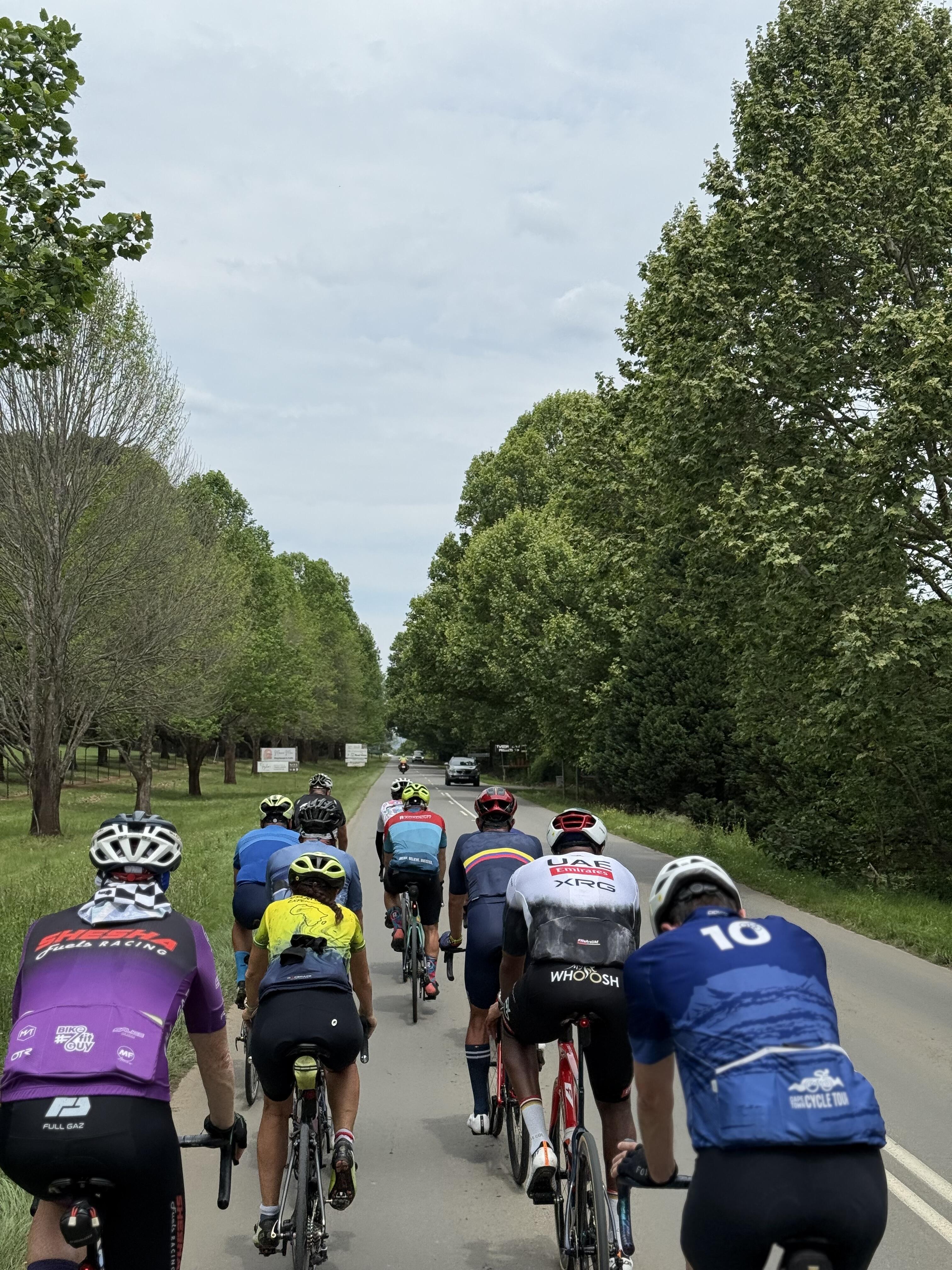 riding to howick stage 4